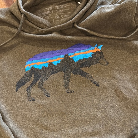 Mens Patagonia Olive Green Hoodie with Graphic Design Size Small - Picture 4 of 7